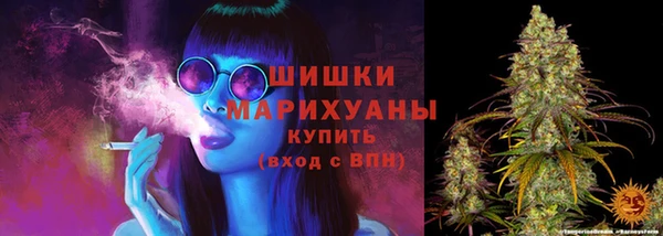 индика Мегион