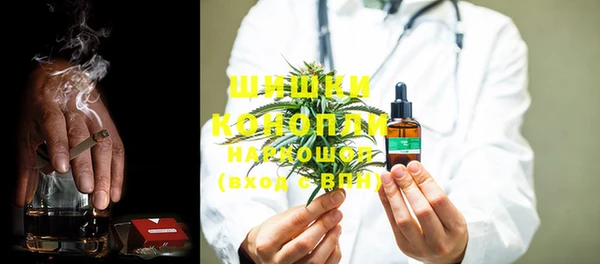 индика Мегион