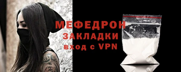 индика Мегион