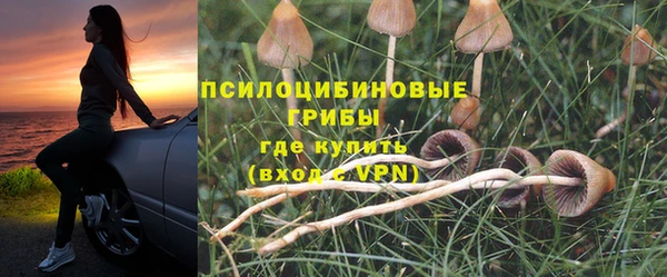 сатива Медногорск