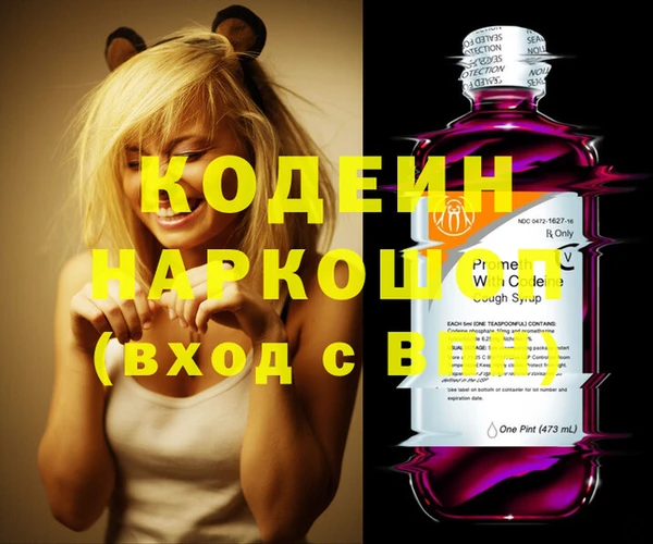 индика Мегион