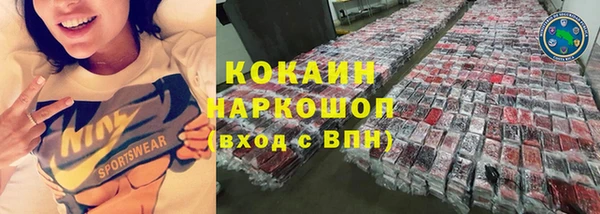 индика Мегион