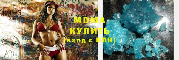индика Мегион