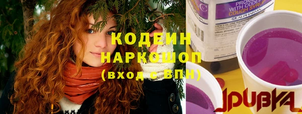 индика Мегион