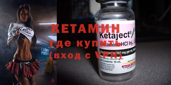 индика Мегион