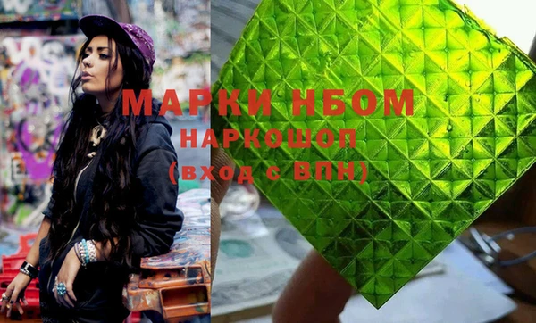 индика Мегион
