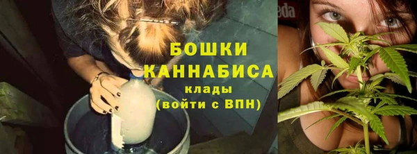 сатива Медногорск