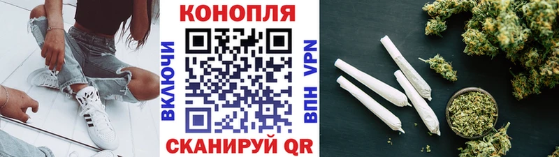 Купить где Ленинск Канабис планчик